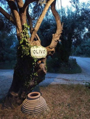 Olivo Nydri
